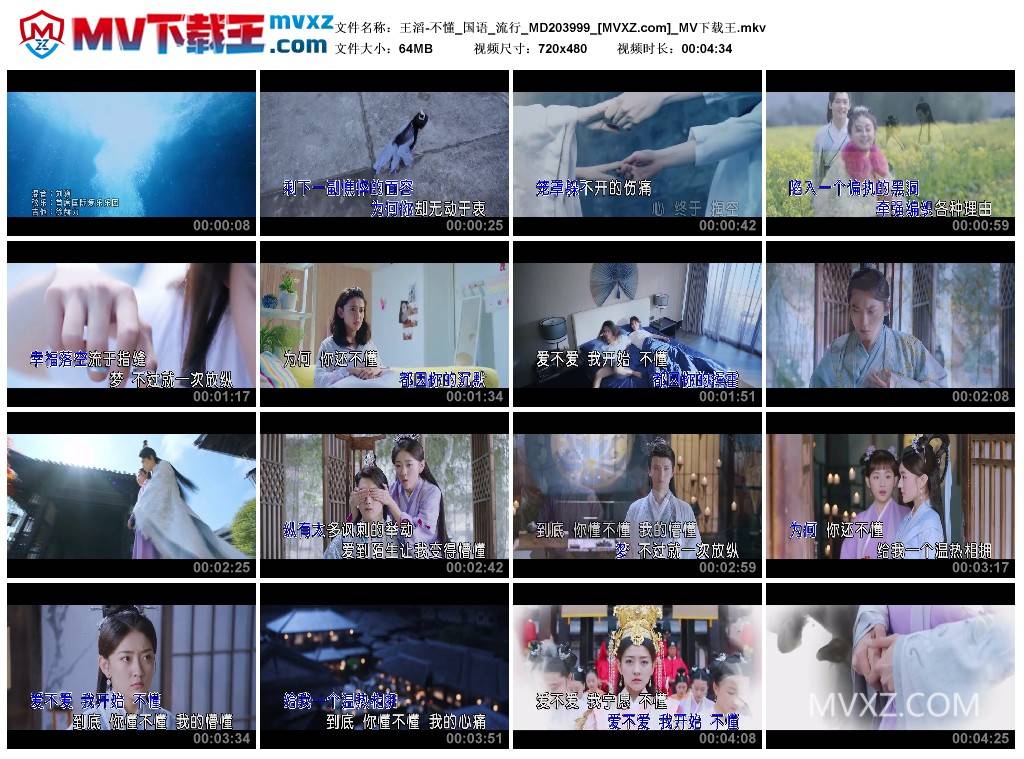 王滔-不懂_国语_流行_MD203999